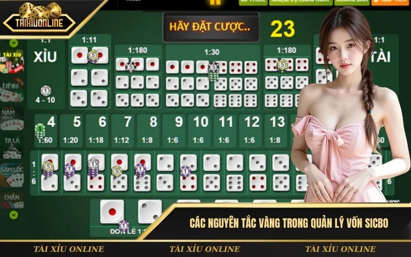 Các nguyên tắc vàng trong quản lý vốn Sicbo