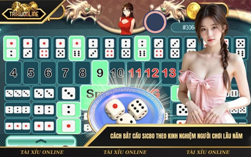 Cách bắt cầu Sicbo theo kinh nghiệm người chơi lâu năm